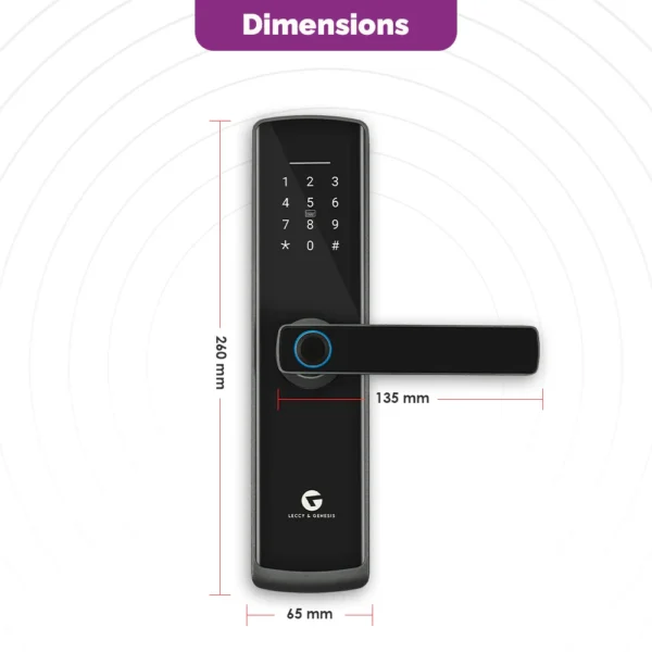 L&G DZ10 Smart Door Lock